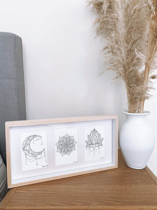 Abundance bundle