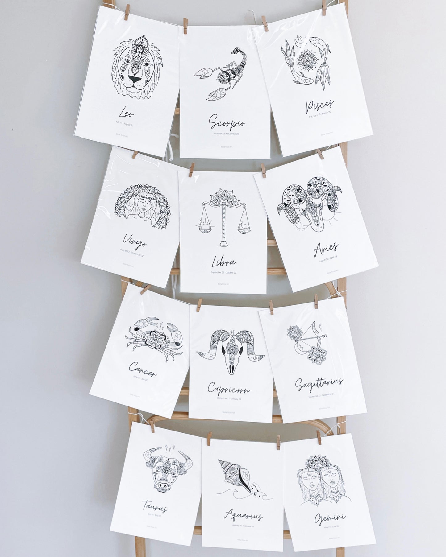 ALL 12 ZODIACS BUNDLE
