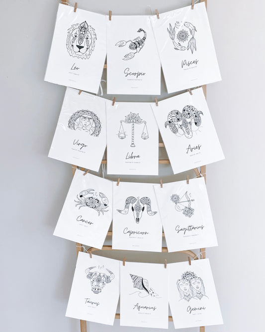 ALL 12 ZODIACS BUNDLE