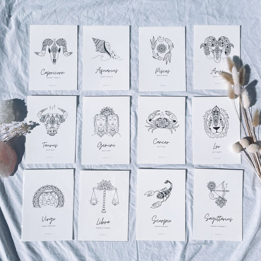 ALL 12 ZODIACS BUNDLE